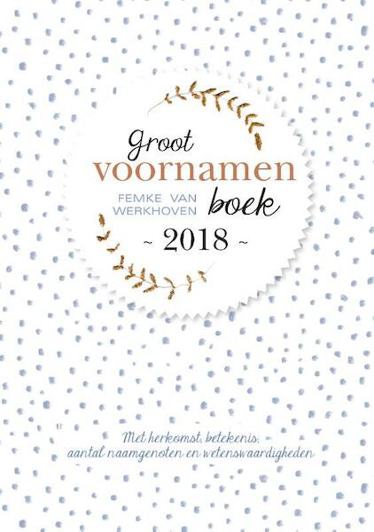Groot voornamenboek 2018 - Femke van Werkhoven (ISBN 9789491874079)