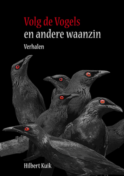 Volg de vogels - Hilbert Kuik (ISBN 9789492020253)