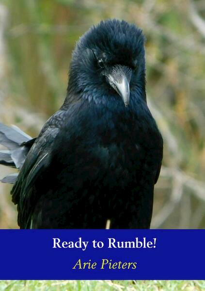 Ready to Rumble! - Arie Pieters (ISBN 9789463673969)