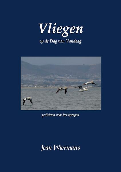Vliegen - Jean Wiermans (ISBN 9789463459082)