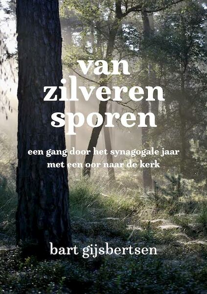 Van zilveren sporen - Bart Gijsbertsen (ISBN 9789492421968)