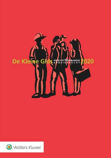 De Kleine Gids voor het Nederlandse Arbeidsrecht 2020 - Mark Diebels (ISBN 9789013157574)