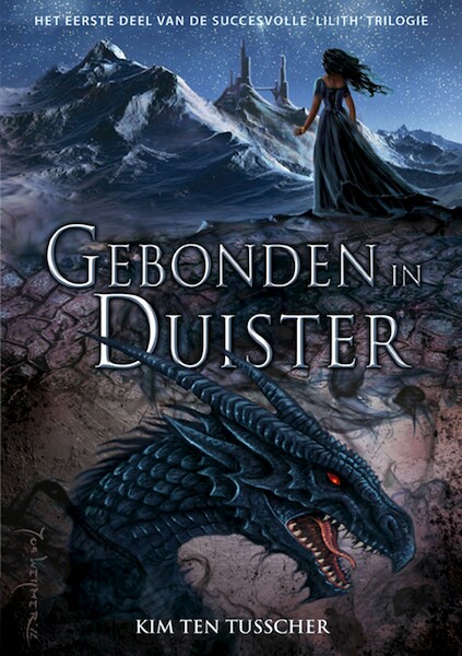 Gebonden in duister - Kim ten Tusscher (ISBN 9789463082365)