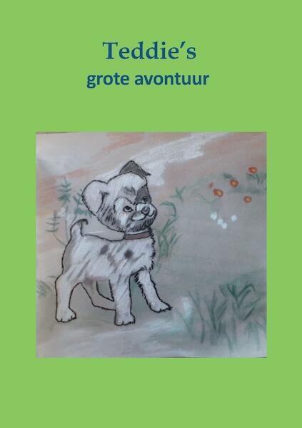 Teddies grote avontuur - Nancy den Broeder (ISBN 9789464060362)