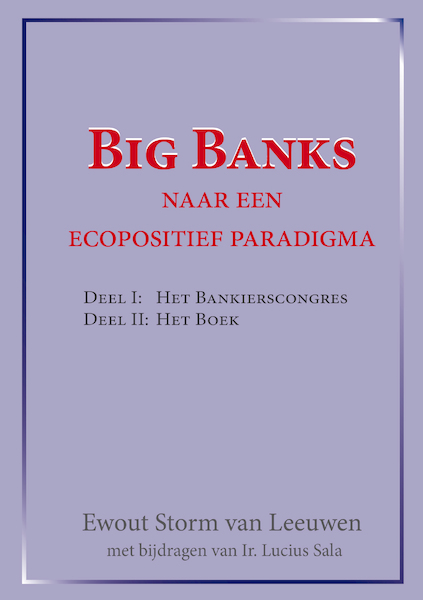 Big banks - Ewout Storm van Leeuwen, Lucius Sala (ISBN 9789492079329)