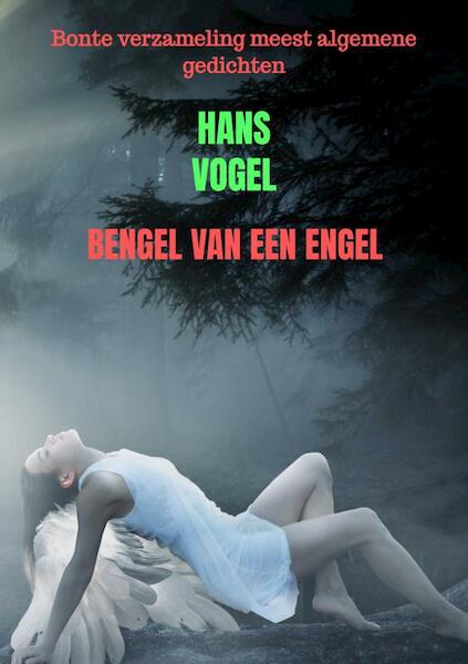Bengel van een engel - Hans Vogel (ISBN 9789464357325)