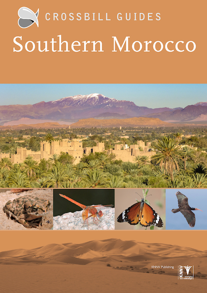 Southern Morocco - Martin Pitt (ISBN 9789491648212)