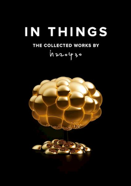 In Things - Satoshi Itasaka (ISBN 9789462264588)