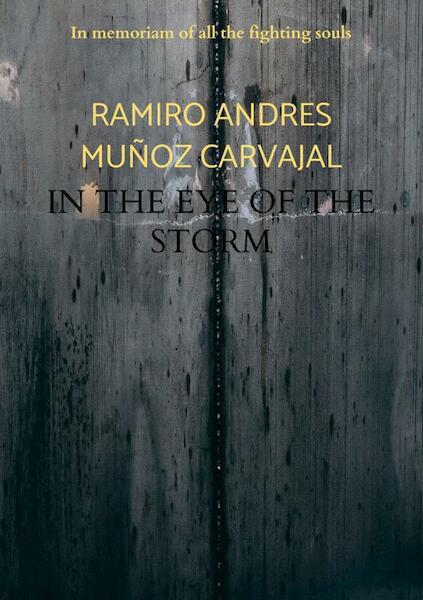 In the eye of the storm - Ramiro Andres Muñoz Carvajal (ISBN 9789464656305)
