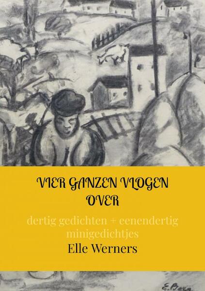 VIER GANZEN VLOGEN OVER - Elle Werners (ISBN 9789464857450)