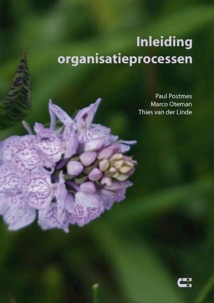 Inleidng organisatieprocessen - Marco Oteman, Paul Postmes, Thies van der Linde (ISBN 9789086840700)