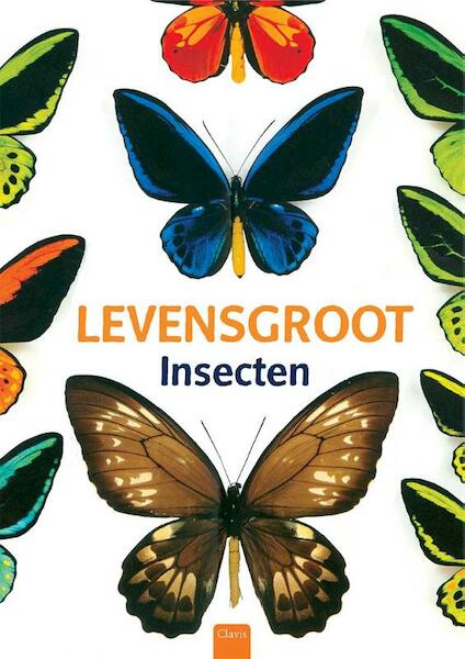 Levensgroot - Minori Kosugi (ISBN 9789044819991)
