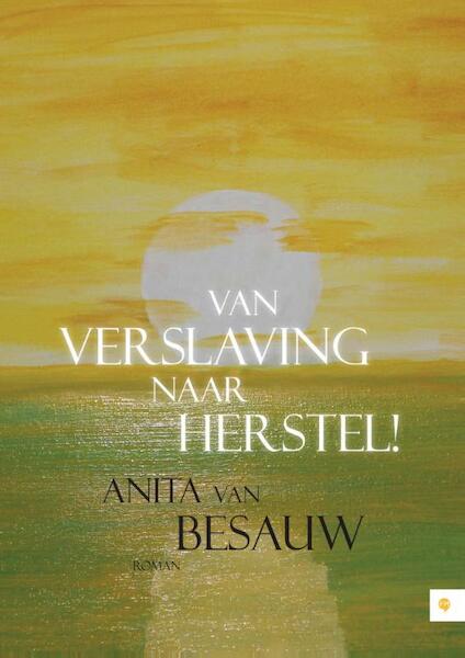 Van verslaving naar herstel! - Anita van Besauw (ISBN 9789048429356)