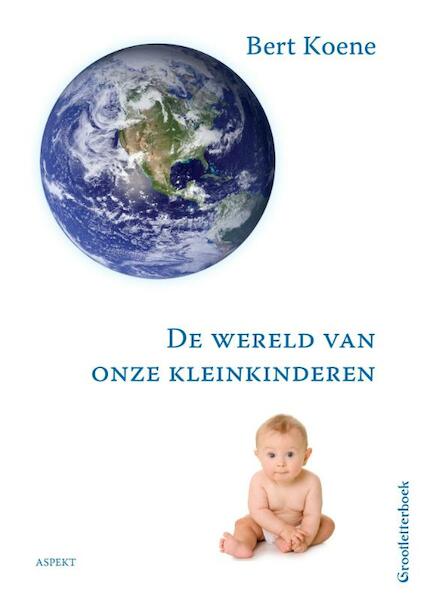 De wereld van onze kleinkinderen - Bert Koene (ISBN 9789461536006)