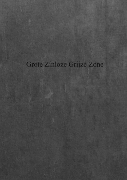 Grote zinloze grijze zone - Damien De Coene, Quinten De Coene (ISBN 9789402143911)