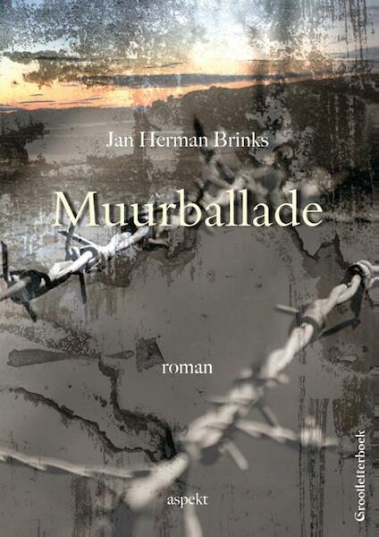 Muurballade - Jan Herman Brinks (ISBN 9789461539571)
