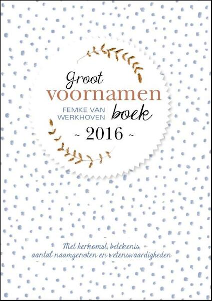 Groot voornamenboek 2016 - Femke van Werkhoven (ISBN 9789491874062)