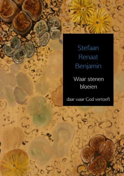 Waar stenen bloeien - Stefaan Renaat Benjamin (ISBN 9789402147049)
