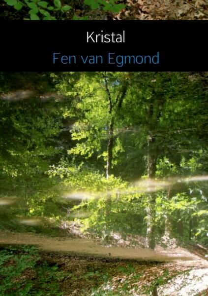 Kristal - Fen van Egmond (ISBN 9789402138832)
