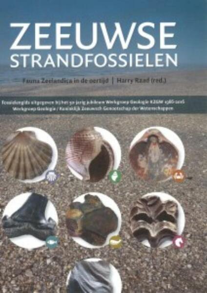 Zeeuwse strandfossielen - (ISBN 9789492170170)