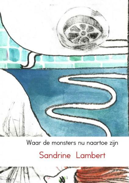 Waar de monsters nu naartoe zijn - Sandrine Lambert (ISBN 9789402159257)