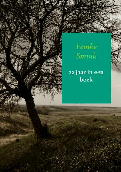22 jaar in een boek - Femke Smink (ISBN 9789402164541)
