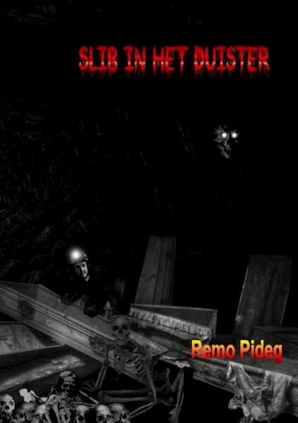 Slib in het duister - Remo Pideg (ISBN 9789402165517)