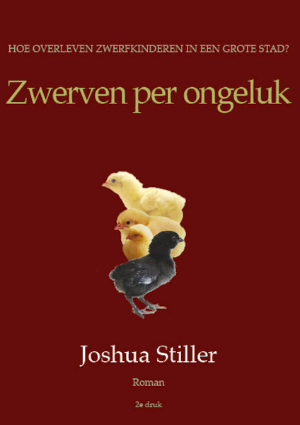Zwerven per ongeluk - Joshua Stiller (ISBN 9789072475534)