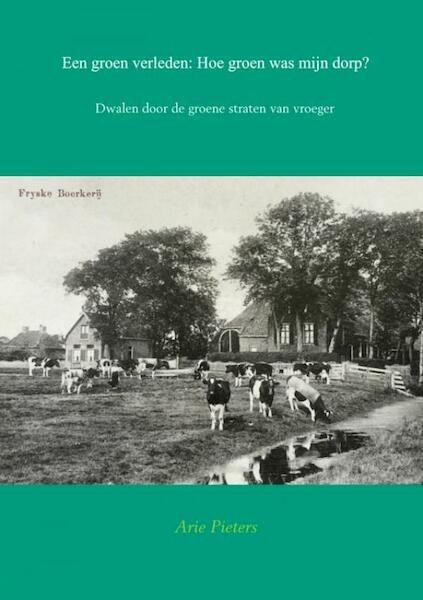 Een groen verleden: Hoe groen was mijn dorp? - Arie Pieters (ISBN 9789463421201)