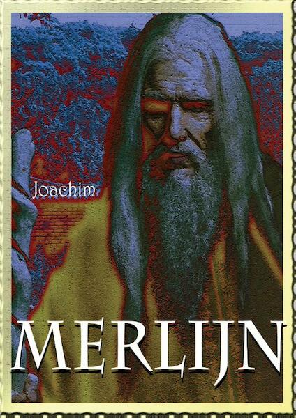 Merlijn - Joachim (ISBN 9789463452168)