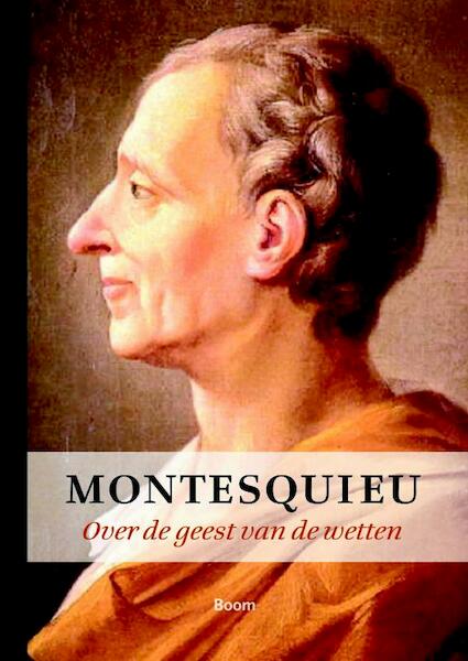 Over de geest van de wetten - Montesquieu (ISBN 9789085066699)