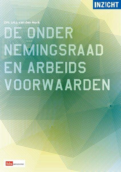 De ondernemingsraad en arbeidsvoorwaarden - J.H.J. van den Hurk (ISBN 9789012385008)