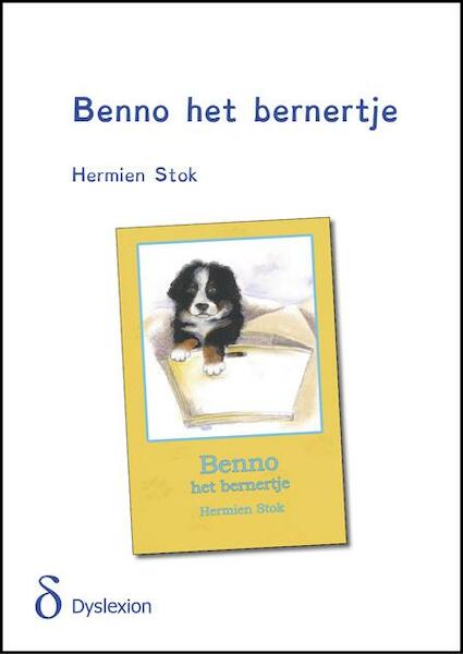 Benno het bernertje - dyslexieuitgave - Hermien Stok (ISBN 9789491638206)