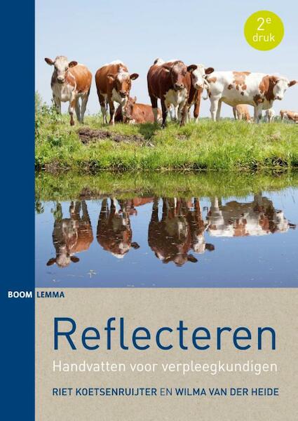 Reflecteren - Riet Koetsenruijter, Wilma van der Heide (ISBN 9789462363939)
