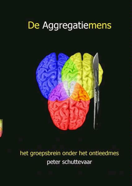 De aggregatiemens - Peter Schuttevaar (ISBN 9789402125559)