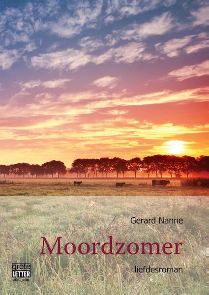 Moordzomer -grote letter uitgave - Gerard Nanne (ISBN 9789461012760)