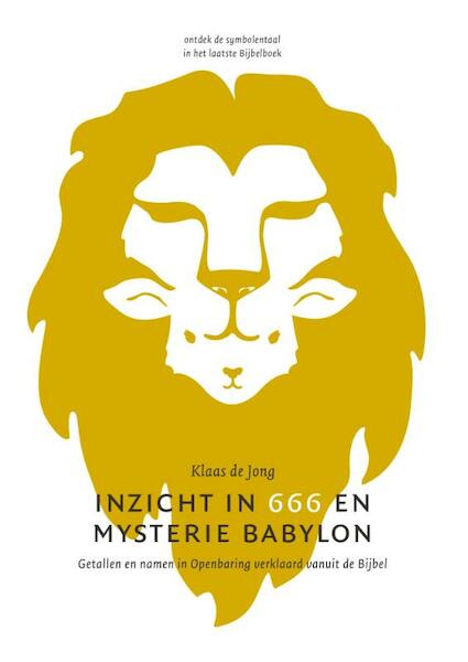 Inzicht in 666 en mysterie Babylon - Klaas de Jong (ISBN 9789081891493)