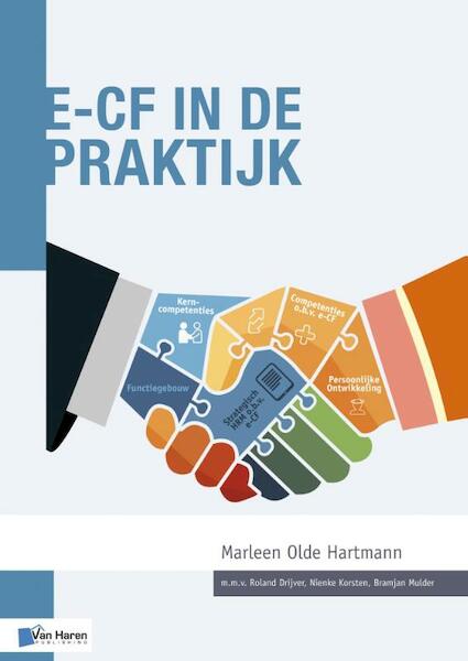 e-CF in de praktijk - Marleen Olde Hartmann (ISBN 9789401800211)