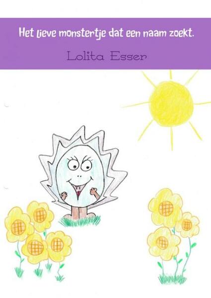 Het lieve monstertje dat een naam zoekt - Lolita Esser (ISBN 9789402143058)