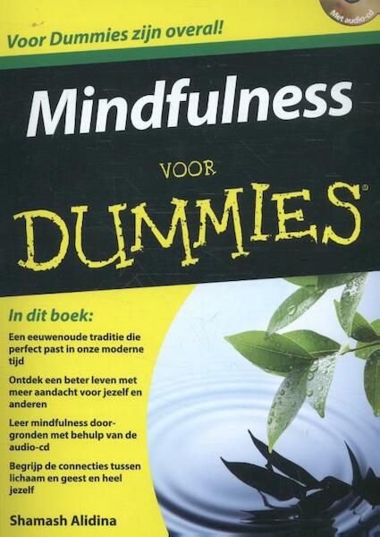 Mindfulness voor Dummies - Shamash Alidina (ISBN 9789045351810)