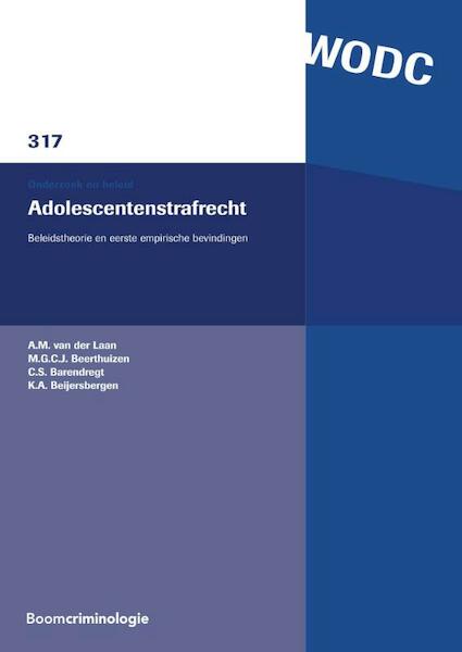 Adolescentenstrafrecht - A.M. van der Laan, M.G.C.J. Beerthuizen, C.S. Barendregt, K.A. Beijersbergen (ISBN 9789462367265)
