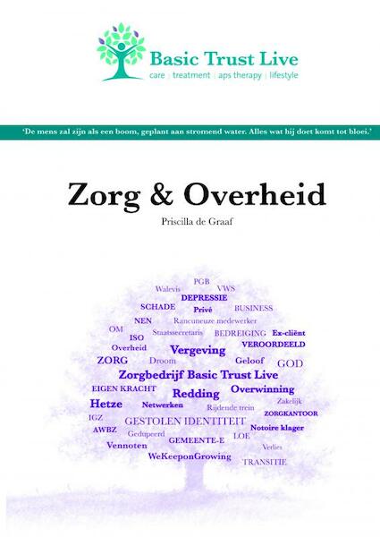 Zorg en overheid - Priscilla de Graaf (ISBN 9789463429016)