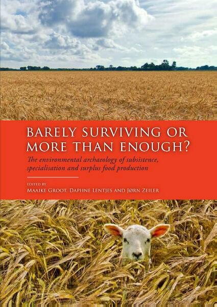 Barely surviving or more than enough? - (ISBN 9789088904769)