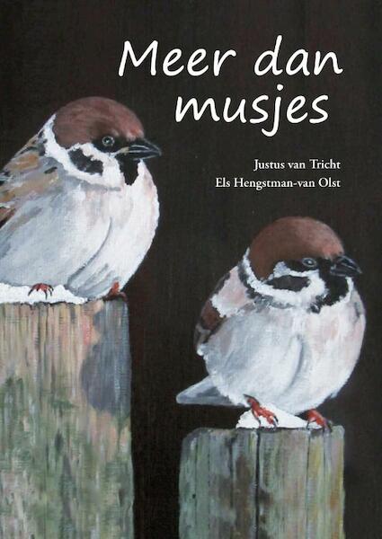 Meer dan musjes - Justus van Tricht, Els Hengstman-van Olst (ISBN 9789048442065)