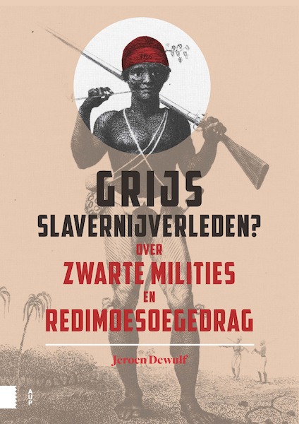 Grijs slavernijverleden - Jeroen Dewulf (ISBN 9789462987944)