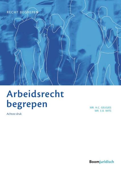 Arbeidsrecht begrepen - Hannie Geugjes, Erica Wits (ISBN 9789462904620)
