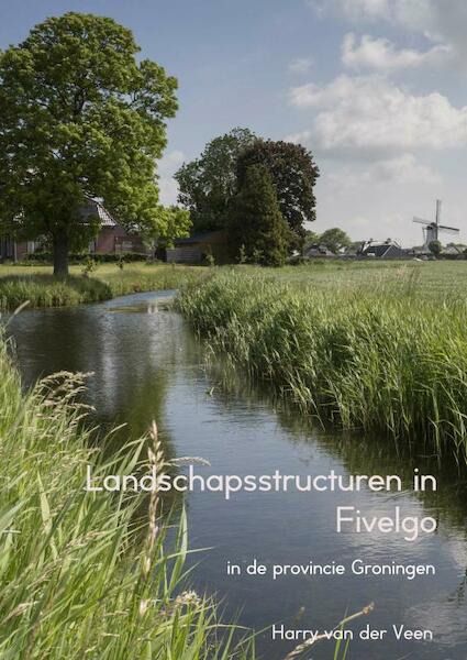 Landschapsstructuren in Fivelgo - Harry Van der Veen (ISBN 9789402194241)