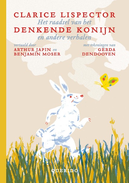Het raadsel van het denkende konijn en andere verhalen - Clarice Lispector (ISBN 9789045123615)