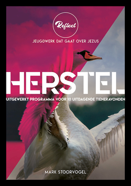 Herstel - Mark Stoorvogel (ISBN 9789033834356)
