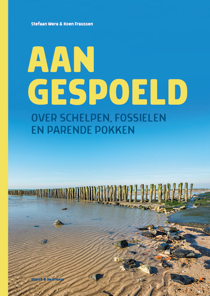 Aangespoeld - Stefaan Wera, Koen Fraussen (ISBN 9789464710007)